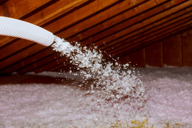 Attic Insulation Near Me in Conestee, SC
