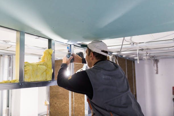 Best Attic Insulation Installation  in Conestee, SC