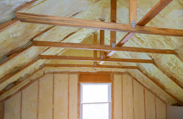 Best Insulation Replacement Services  in Conestee, SC