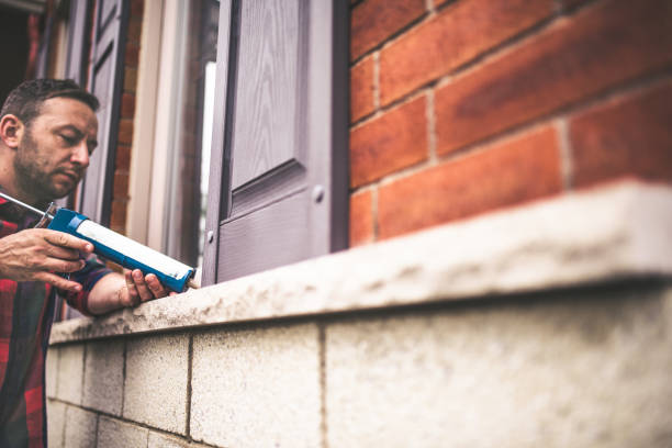 Best Local Insulation Services  in Conestee, SC