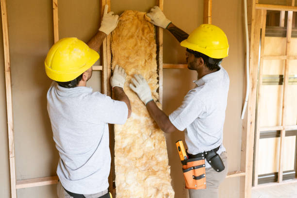 Best Best Insulation Companies  in Conestee, SC