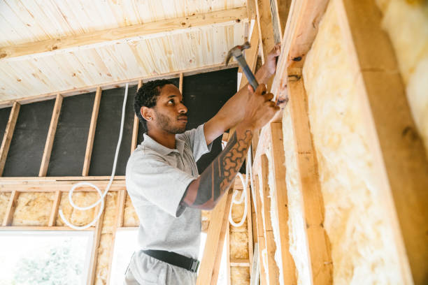 Best Insulation Repair Services  in Conestee, SC